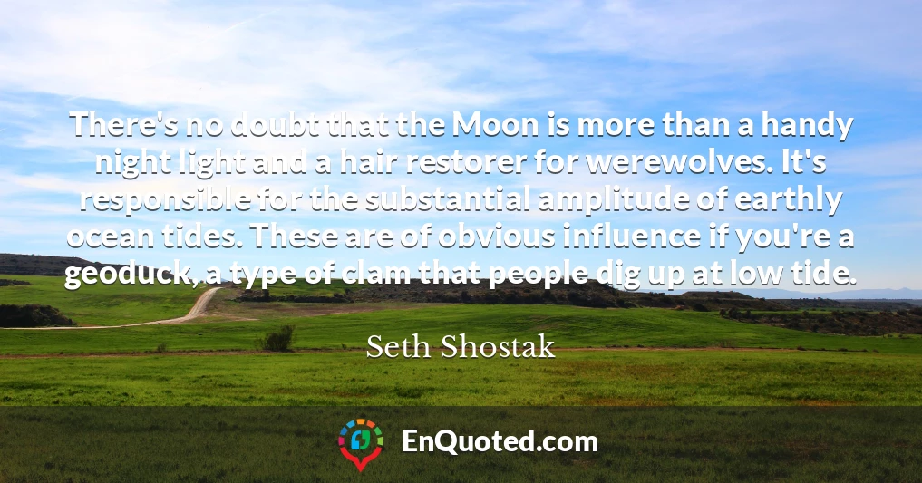 There's no doubt that the Moon is more than a handy night light and a hair restorer for werewolves. It's responsible for the substantial amplitude of earthly ocean tides. These are of obvious influence if you're a geoduck, a type of clam that people dig up at low tide.