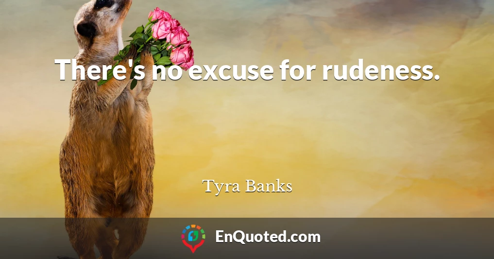 There's no excuse for rudeness.