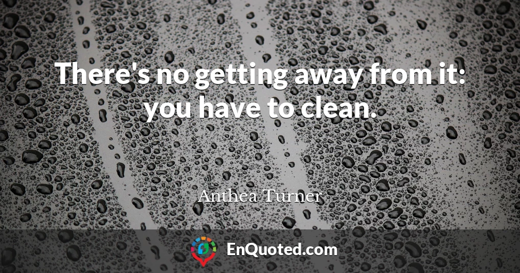 There's no getting away from it: you have to clean.