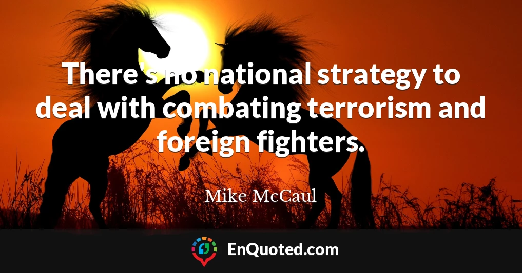 There's no national strategy to deal with combating terrorism and foreign fighters.