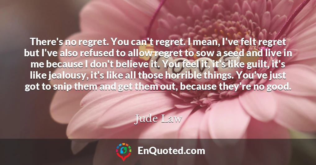 There's no regret. You can't regret. I mean, I've felt regret but I've also refused to allow regret to sow a seed and live in me because I don't believe it. You feel it, it's like guilt, it's like jealousy, it's like all those horrible things. You've just got to snip them and get them out, because they're no good.