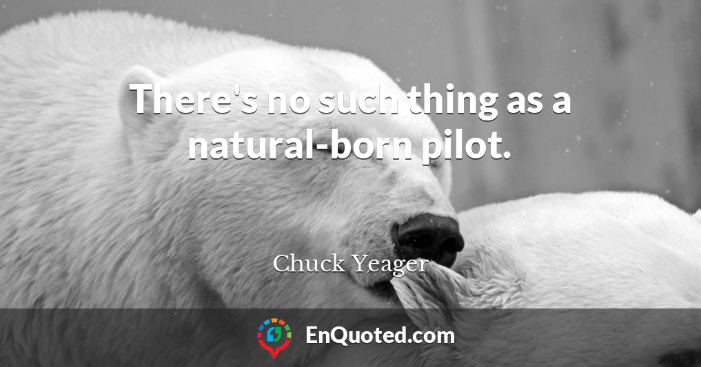 There's no such thing as a natural-born pilot.