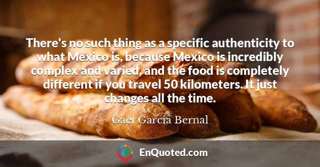 There's no such thing as a specific authenticity to what Mexico is, because Mexico is incredibly complex and varied, and the food is completely different if you travel 50 kilometers. It just changes all the time.