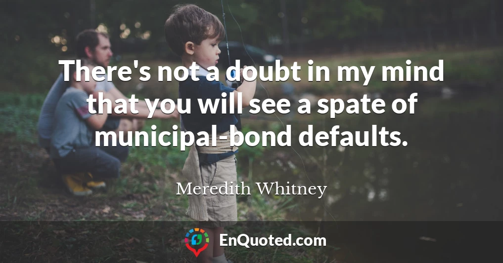 There's not a doubt in my mind that you will see a spate of municipal-bond defaults.