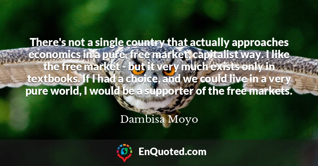 There's not a single country that actually approaches economics in a pure, free market, capitalist way. I like the free market - but it very much exists only in textbooks. If I had a choice, and we could live in a very pure world, I would be a supporter of the free markets.