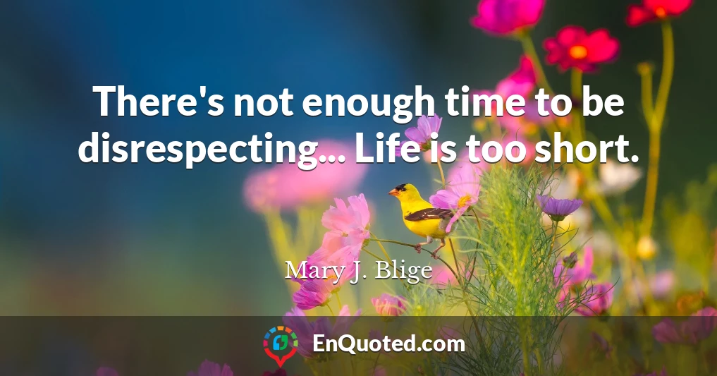 There's not enough time to be disrespecting... Life is too short.