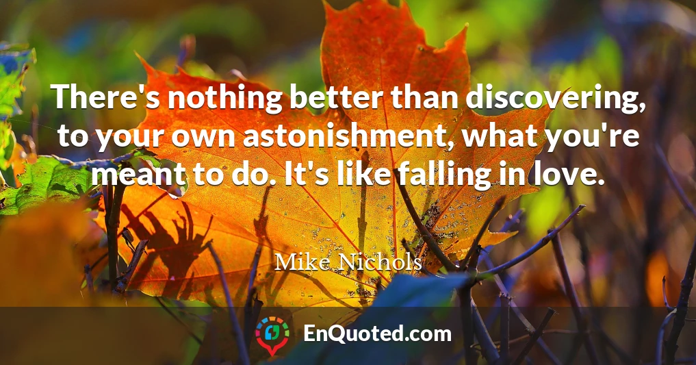 There's nothing better than discovering, to your own astonishment, what you're meant to do. It's like falling in love.