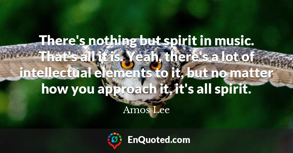 There's nothing but spirit in music. That's all it is. Yeah, there's a lot of intellectual elements to it, but no matter how you approach it, it's all spirit.