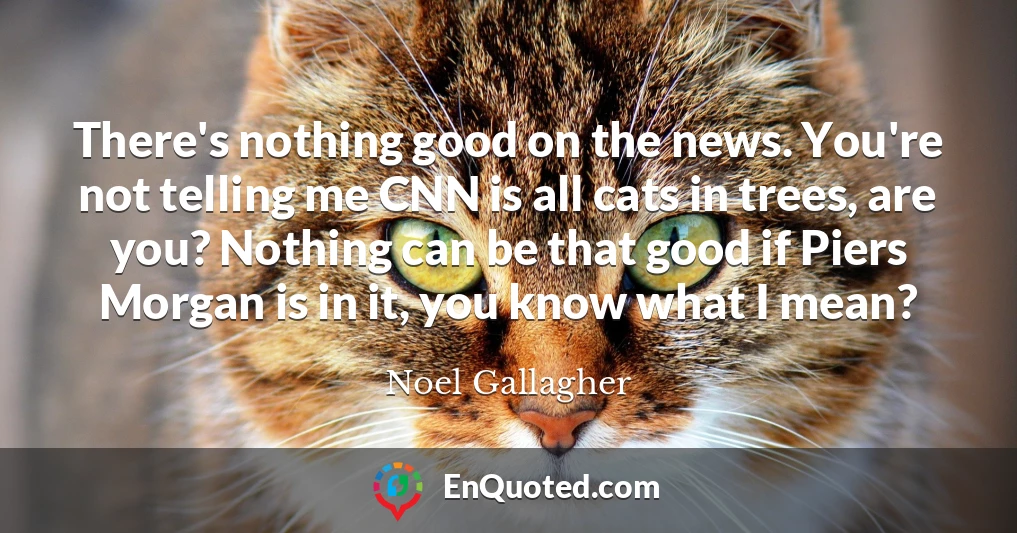 There's nothing good on the news. You're not telling me CNN is all cats in trees, are you? Nothing can be that good if Piers Morgan is in it, you know what I mean?