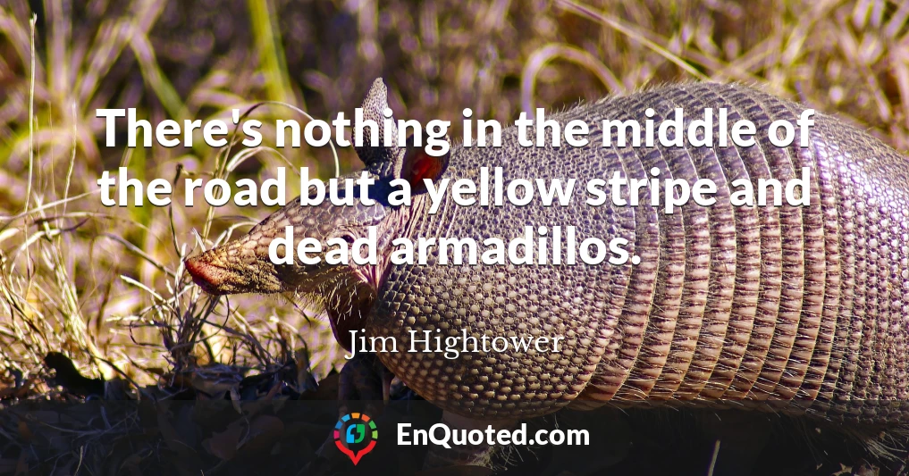 There's nothing in the middle of the road but a yellow stripe and dead armadillos.