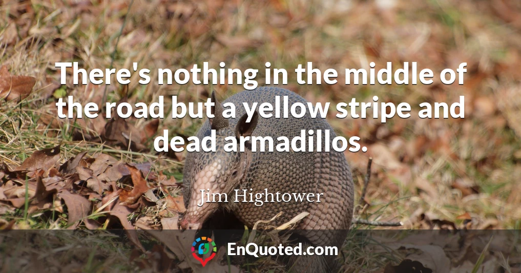 There's nothing in the middle of the road but a yellow stripe and dead armadillos.