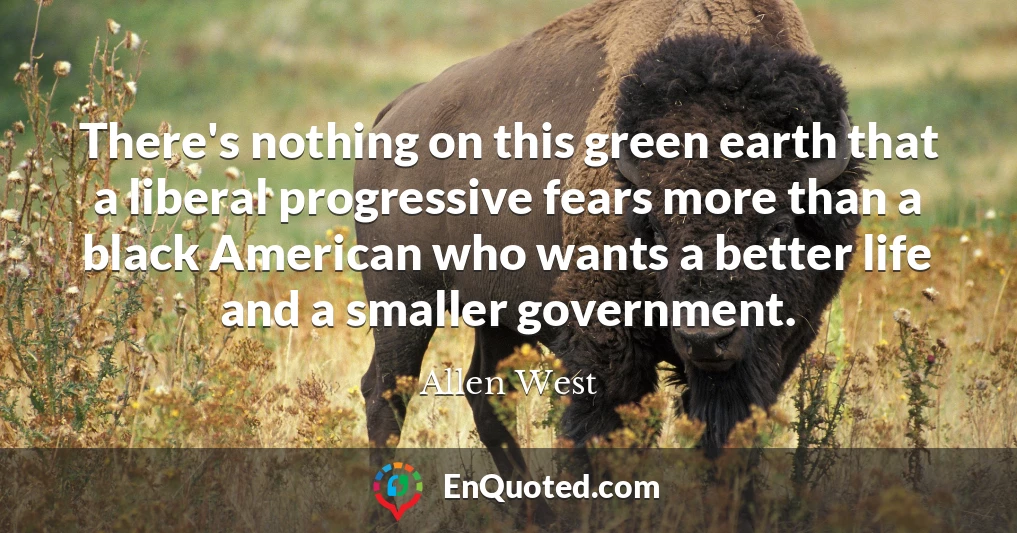 There's nothing on this green earth that a liberal progressive fears more than a black American who wants a better life and a smaller government.