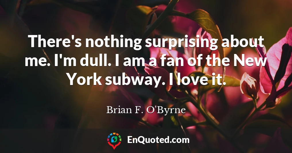 There's nothing surprising about me. I'm dull. I am a fan of the New York subway. I love it.