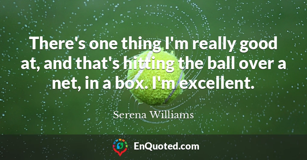 There's one thing I'm really good at, and that's hitting the ball over a net, in a box. I'm excellent.