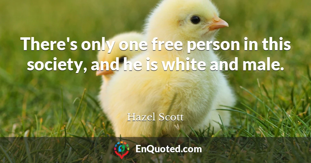 There's only one free person in this society, and he is white and male.