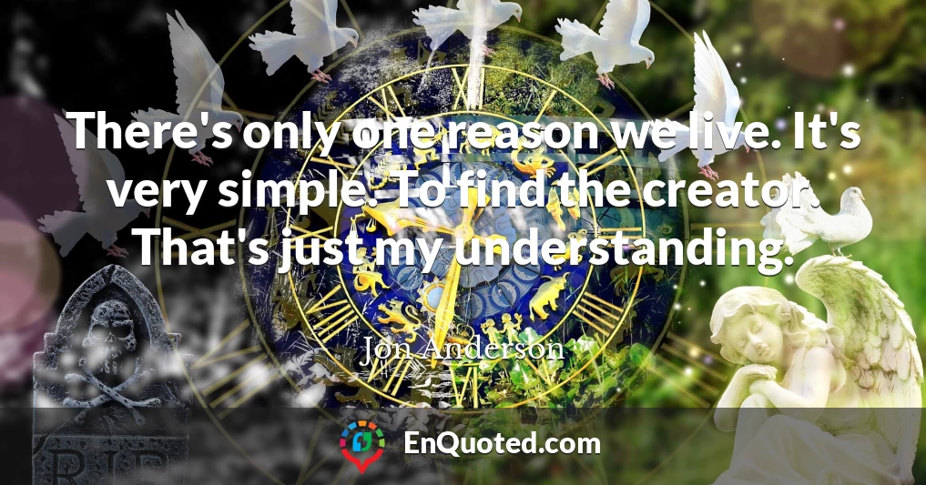 There's only one reason we live. It's very simple. To find the creator. That's just my understanding.