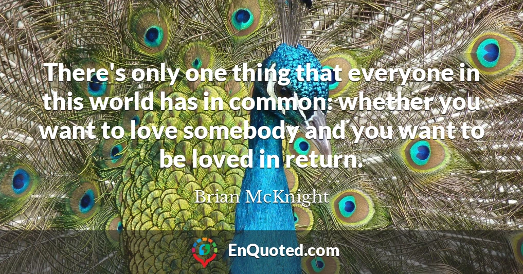 There's only one thing that everyone in this world has in common: whether you want to love somebody and you want to be loved in return.