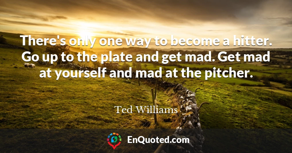 There's only one way to become a hitter. Go up to the plate and get mad. Get mad at yourself and mad at the pitcher.