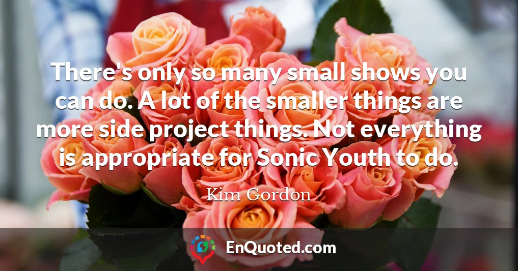 There's only so many small shows you can do. A lot of the smaller things are more side project things. Not everything is appropriate for Sonic Youth to do.