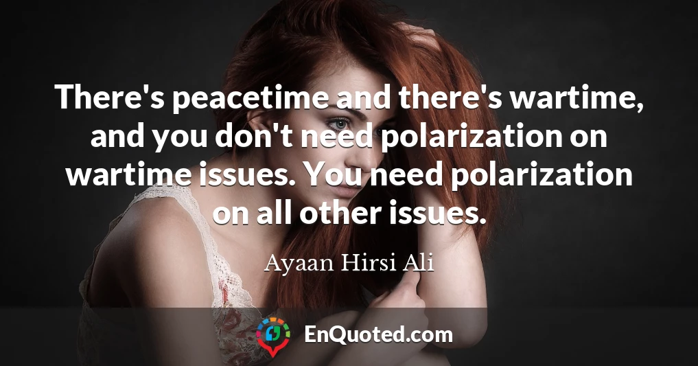 There's peacetime and there's wartime, and you don't need polarization on wartime issues. You need polarization on all other issues.