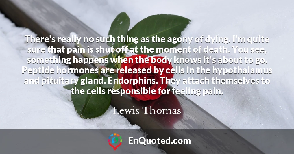 There's really no such thing as the agony of dying. I'm quite sure that pain is shut off at the moment of death. You see, something happens when the body knows it's about to go. Peptide hormones are released by cells in the hypothalamus and pituitary gland. Endorphins. They attach themselves to the cells responsible for feeling pain.