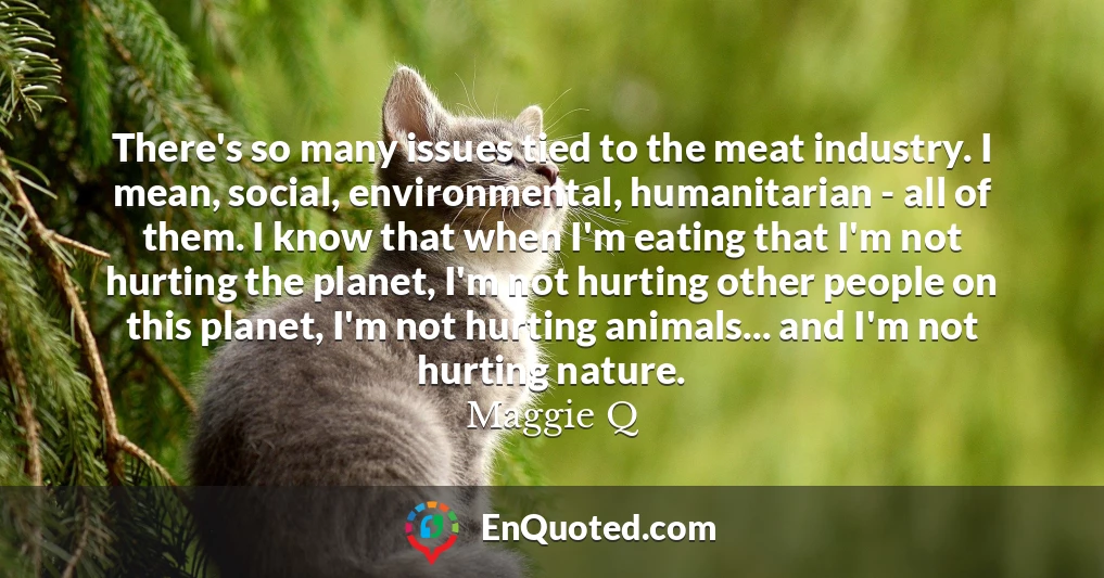 There's so many issues tied to the meat industry. I mean, social, environmental, humanitarian - all of them. I know that when I'm eating that I'm not hurting the planet, I'm not hurting other people on this planet, I'm not hurting animals... and I'm not hurting nature.