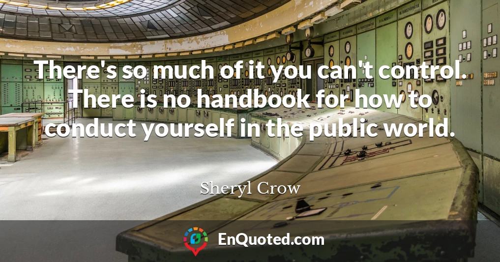 There's so much of it you can't control. There is no handbook for how to conduct yourself in the public world.