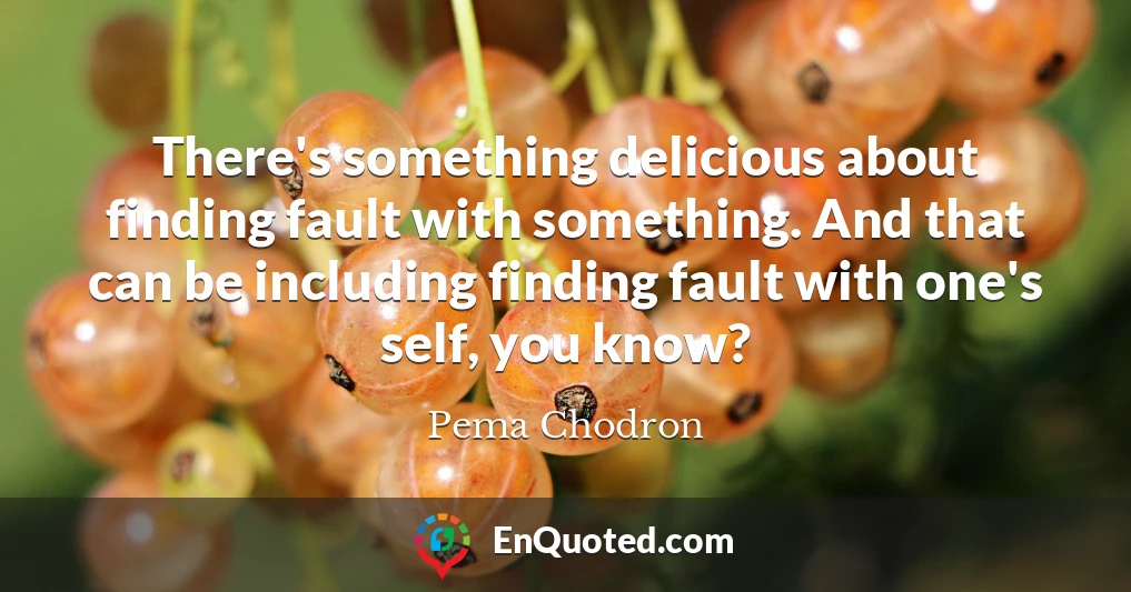 There's something delicious about finding fault with something. And that can be including finding fault with one's self, you know?