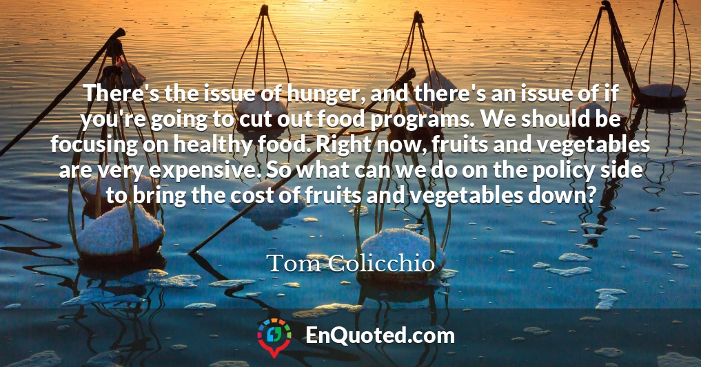 There's the issue of hunger, and there's an issue of if you're going to cut out food programs. We should be focusing on healthy food. Right now, fruits and vegetables are very expensive. So what can we do on the policy side to bring the cost of fruits and vegetables down?