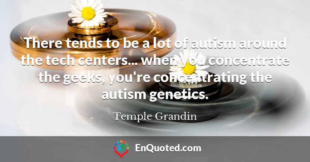 There tends to be a lot of autism around the tech centers... when you concentrate the geeks, you're concentrating the autism genetics.