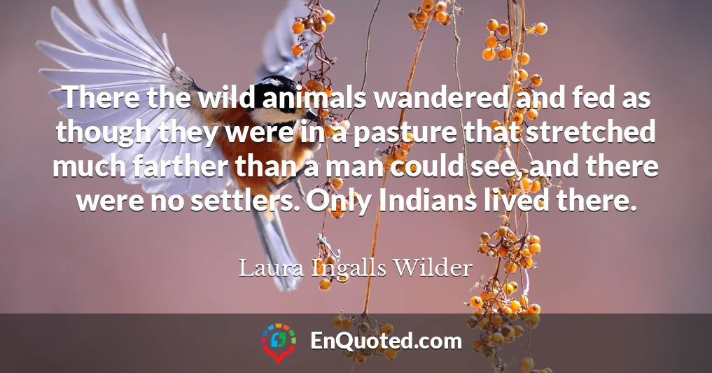 There the wild animals wandered and fed as though they were in a pasture that stretched much farther than a man could see, and there were no settlers. Only Indians lived there.