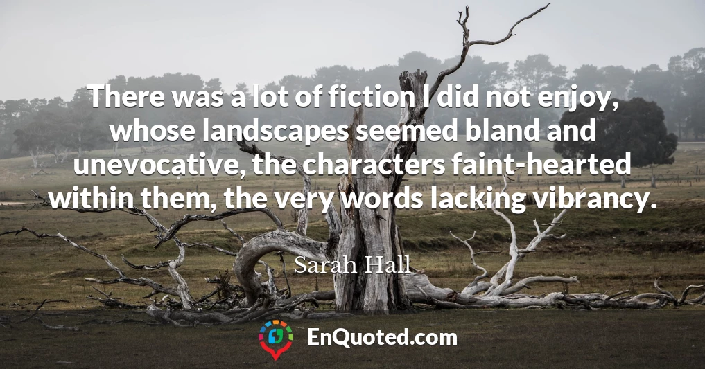 There was a lot of fiction I did not enjoy, whose landscapes seemed bland and unevocative, the characters faint-hearted within them, the very words lacking vibrancy.