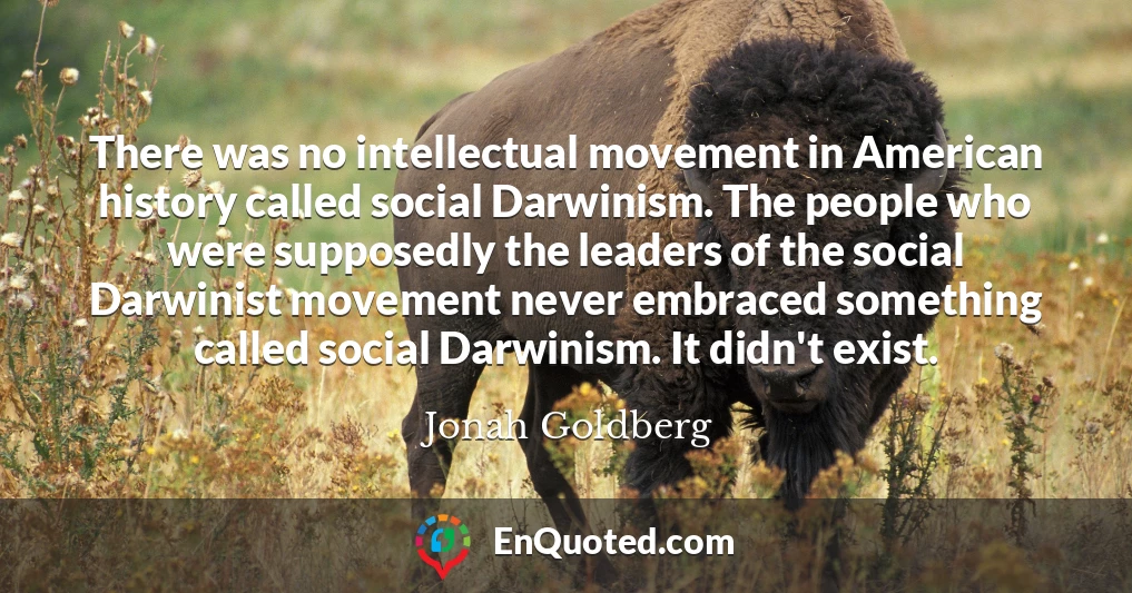 There was no intellectual movement in American history called social Darwinism. The people who were supposedly the leaders of the social Darwinist movement never embraced something called social Darwinism. It didn't exist.