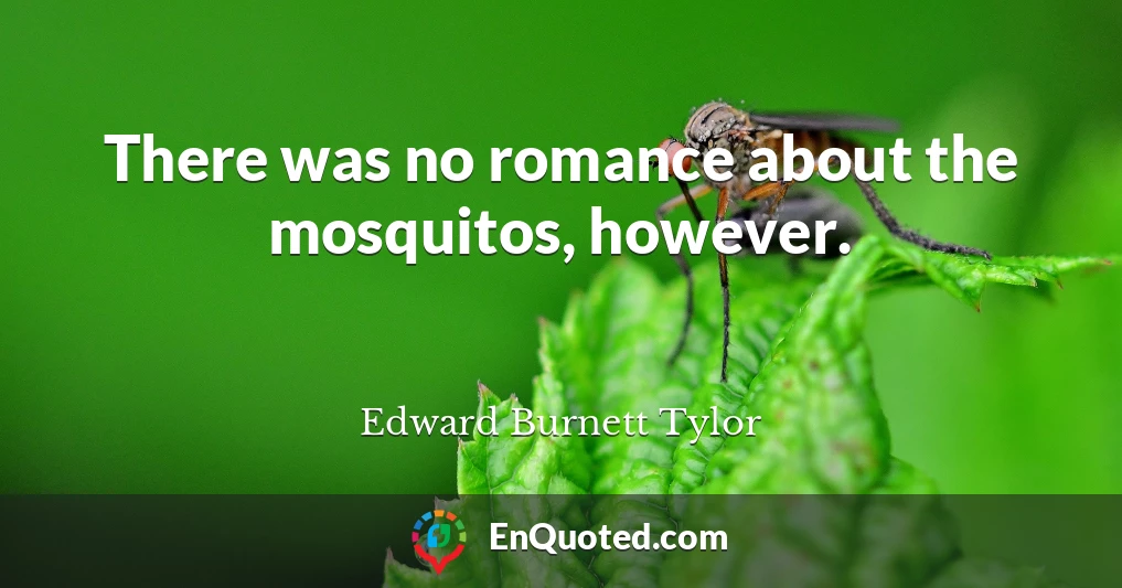 There was no romance about the mosquitos, however.