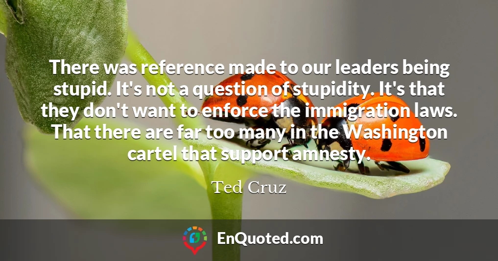 There was reference made to our leaders being stupid. It's not a question of stupidity. It's that they don't want to enforce the immigration laws. That there are far too many in the Washington cartel that support amnesty.