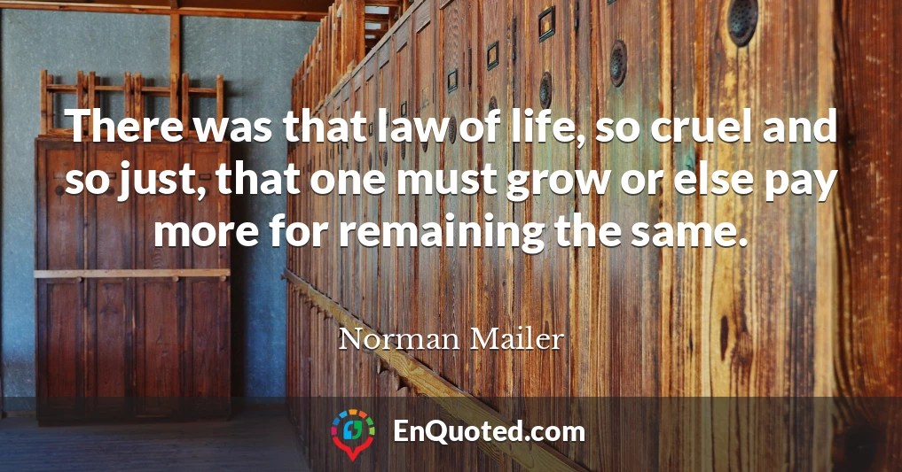 There was that law of life, so cruel and so just, that one must grow or else pay more for remaining the same.