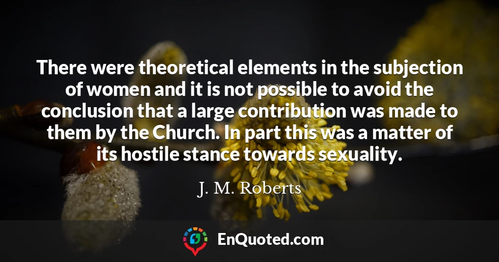 There were theoretical elements in the subjection of women and it is not possible to avoid the conclusion that a large contribution was made to them by the Church. In part this was a matter of its hostile stance towards sexuality.