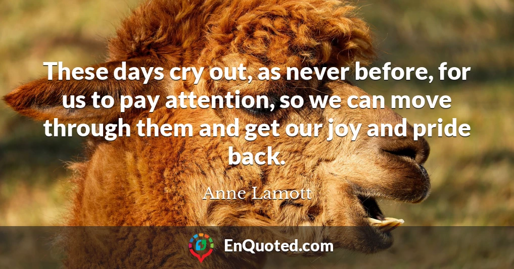 These days cry out, as never before, for us to pay attention, so we can move through them and get our joy and pride back.