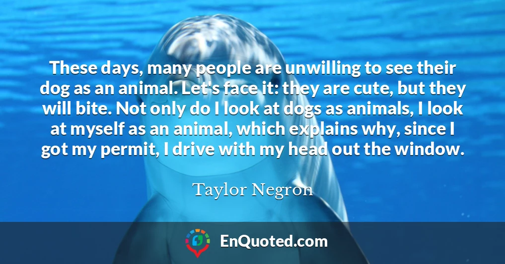 These days, many people are unwilling to see their dog as an animal. Let's face it: they are cute, but they will bite. Not only do I look at dogs as animals, I look at myself as an animal, which explains why, since I got my permit, I drive with my head out the window.