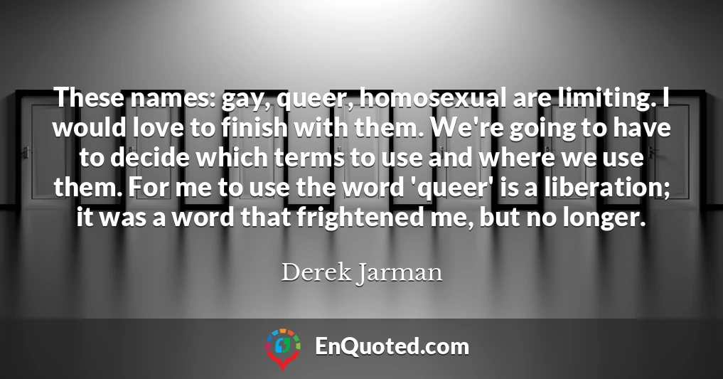These names: gay, queer, homosexual are limiting. I would love to finish with them. We're going to have to decide which terms to use and where we use them. For me to use the word 'queer' is a liberation; it was a word that frightened me, but no longer.
