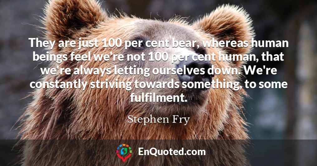They are just 100 per cent bear, whereas human beings feel we're not 100 per cent human, that we're always letting ourselves down. We're constantly striving towards something, to some fulfilment.