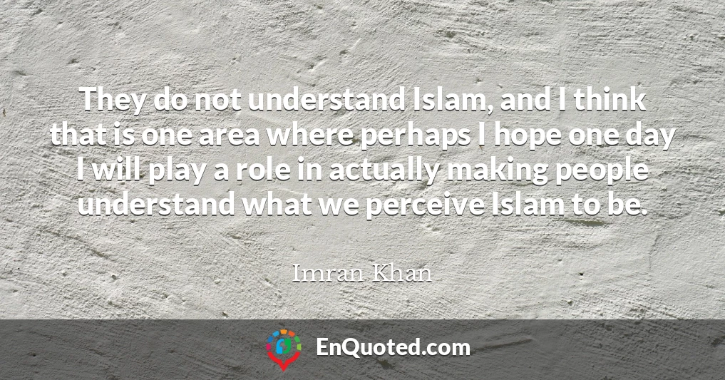 They do not understand Islam, and I think that is one area where perhaps I hope one day I will play a role in actually making people understand what we perceive Islam to be.
