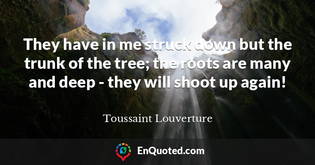 They have in me struck down but the trunk of the tree; the roots are many and deep - they will shoot up again!