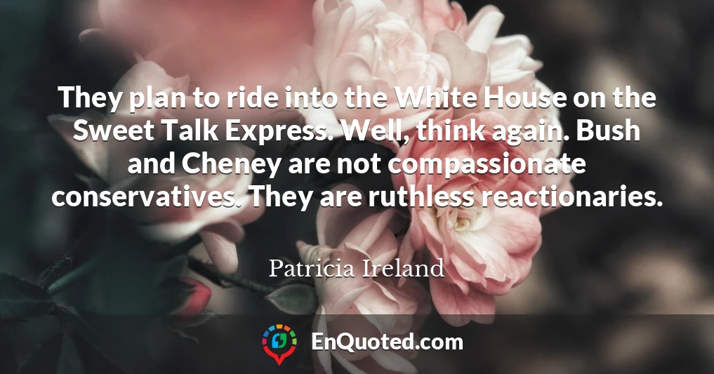 They plan to ride into the White House on the Sweet Talk Express. Well, think again. Bush and Cheney are not compassionate conservatives. They are ruthless reactionaries.