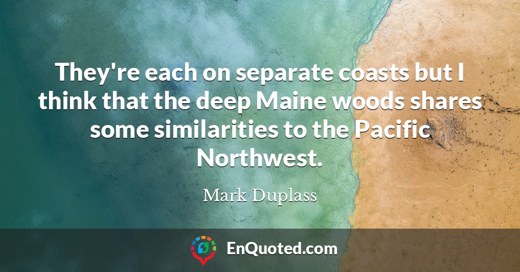 They're each on separate coasts but I think that the deep Maine woods shares some similarities to the Pacific Northwest.