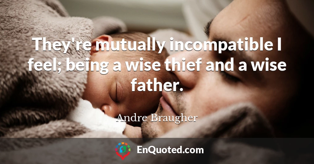 They're mutually incompatible I feel; being a wise thief and a wise father.