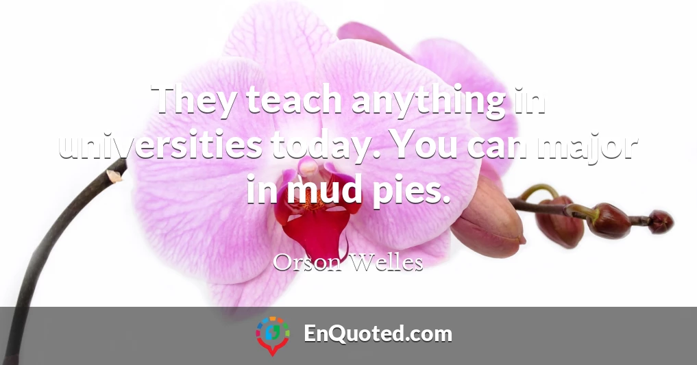 They teach anything in universities today. You can major in mud pies.