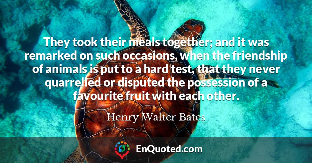 They took their meals together; and it was remarked on such occasions, when the friendship of animals is put to a hard test, that they never quarrelled or disputed the possession of a favourite fruit with each other.