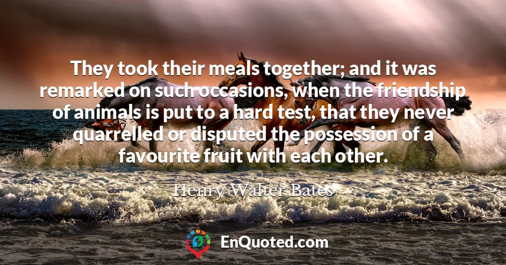 They took their meals together; and it was remarked on such occasions, when the friendship of animals is put to a hard test, that they never quarrelled or disputed the possession of a favourite fruit with each other.