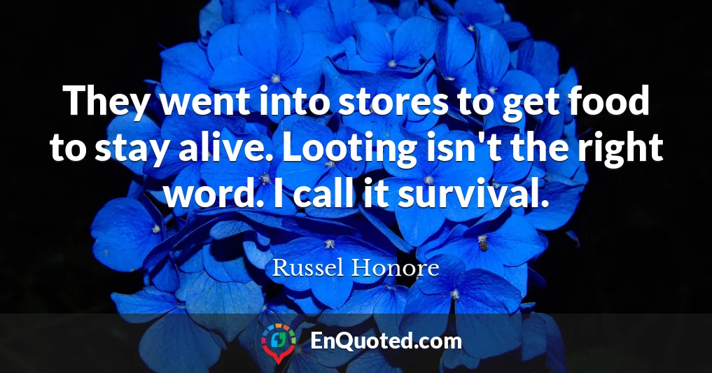 They went into stores to get food to stay alive. Looting isn't the right word. I call it survival.